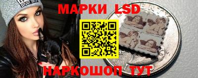 хмурый Сланцы