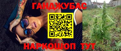 хмурый Сланцы