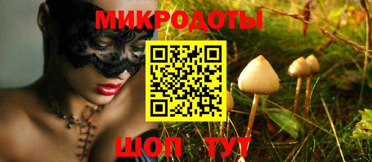 Нефтекумск  где купить наркоту  Вход с VPN  Псилоцибиновые грибы Psilocybine cubensis 